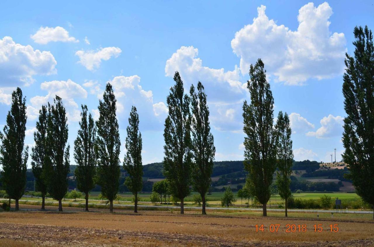 Villa Merzbach - Wohnen Wie Im Museum Mit Komfort Untermerzbach Exteriör bild